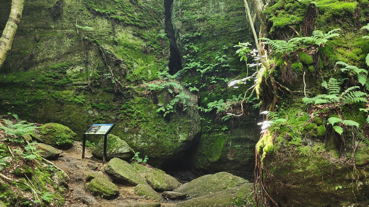 Nelson Ledges State Park Blue Trail