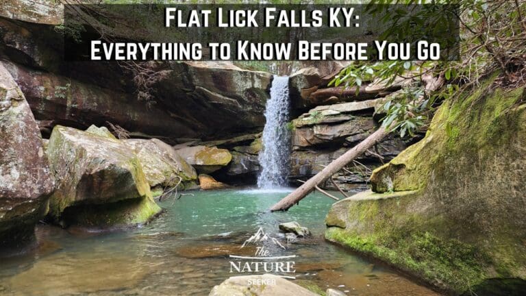 Flat Lick Falls KY: Things to Know For Your First Visit