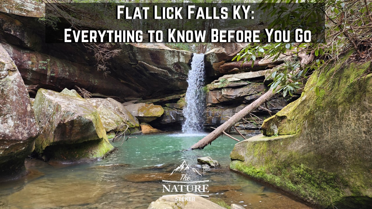 flat lick falls ky new 01