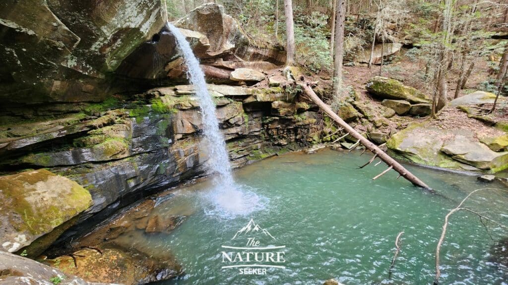 Flat Lick Falls KY Things to Know For Your First Visit