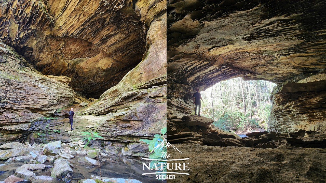 honey creek loop cave rope climb 06