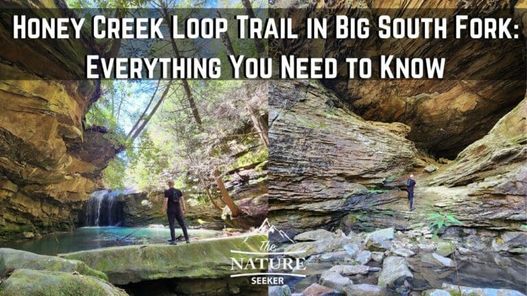 How to Hike The Honey Creek Loop Trail in Big South Fork