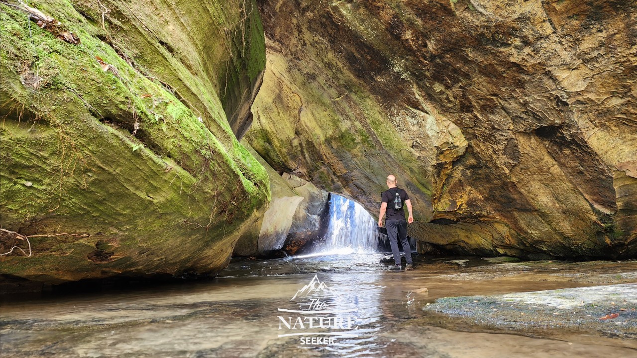 honey creek loop waterfall cave 03