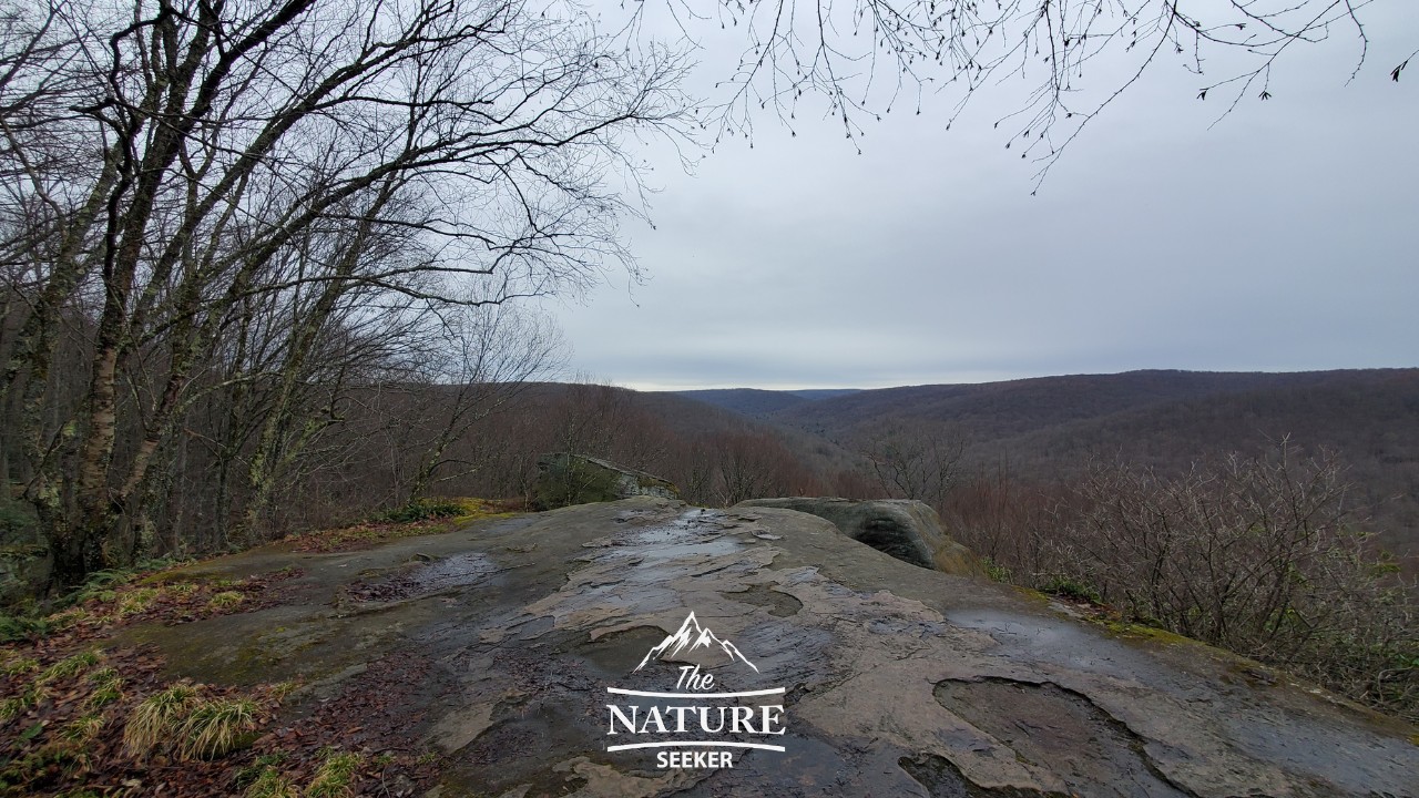 minister creek overlook 07