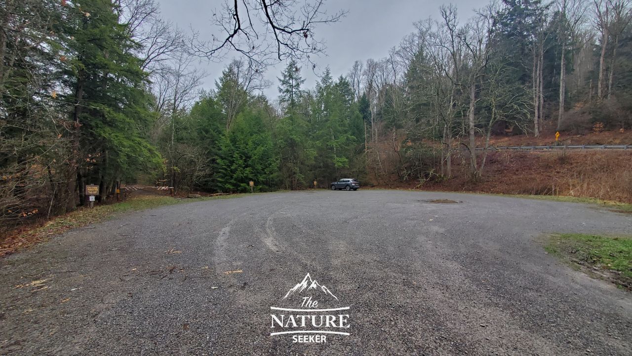 minister creek trailhead allegheny national forest 02