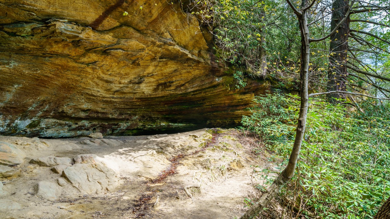red river gorge hiking trails 01