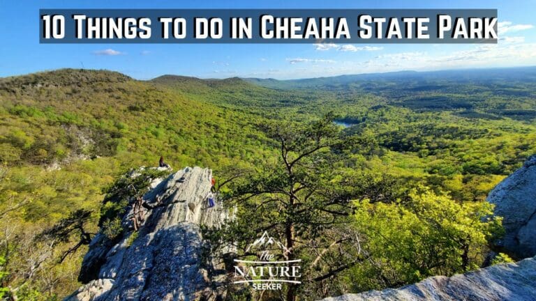 10 Best Things to do Cheaha State Park Alabama