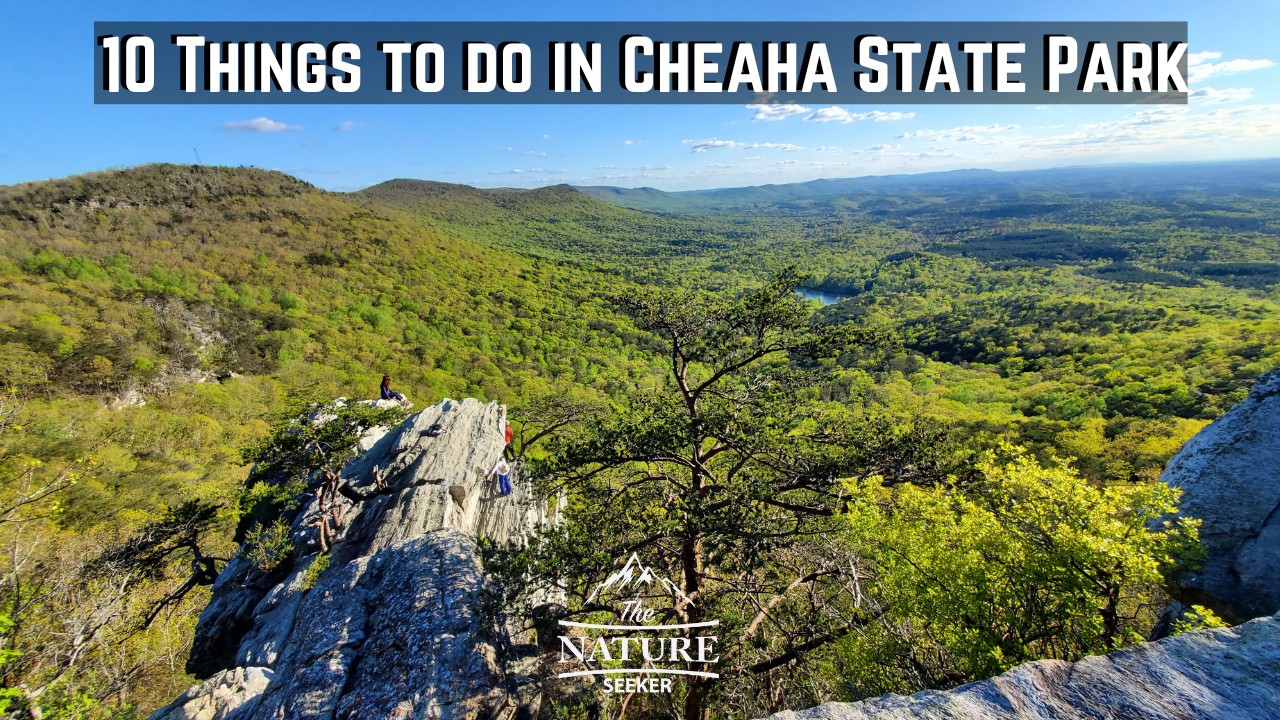 things to do cheaha state park 01