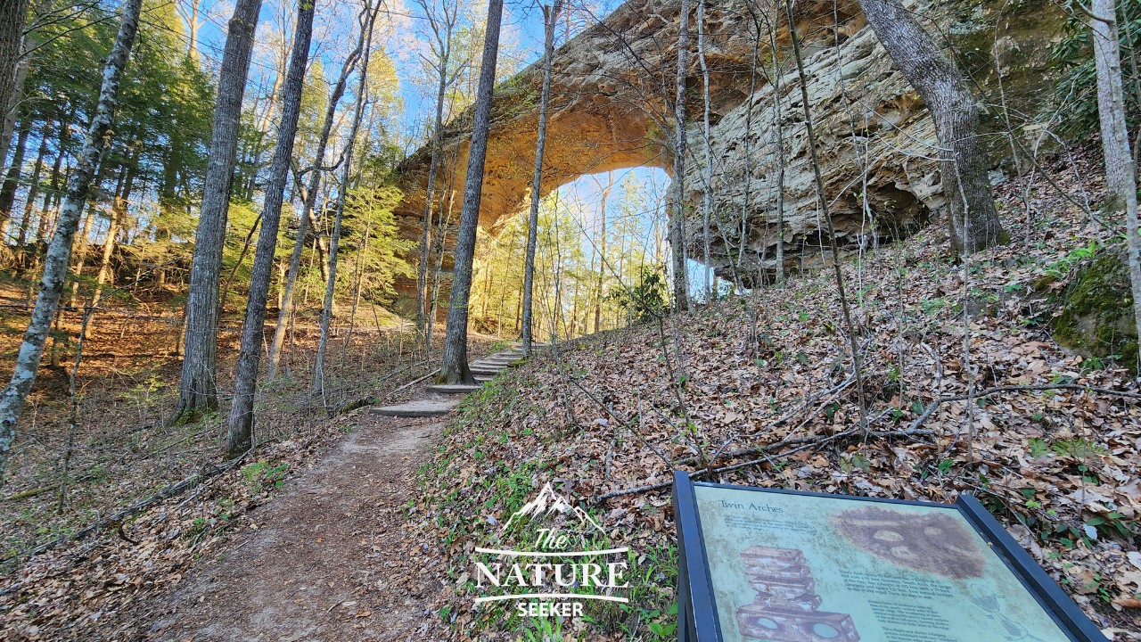 twin arches loop tennessee 03