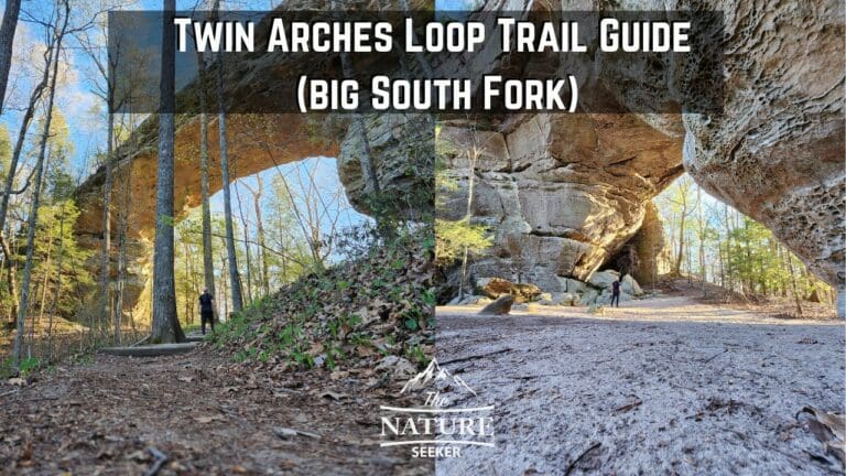 A Guide to Hiking The Twin Arches Loop Trail in TN