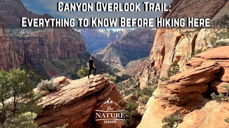 Zion Canyon Overlook Trail: 5 Things to Know About This Hike