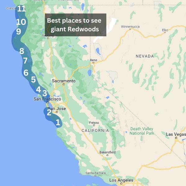 giant redwood forest california map 09