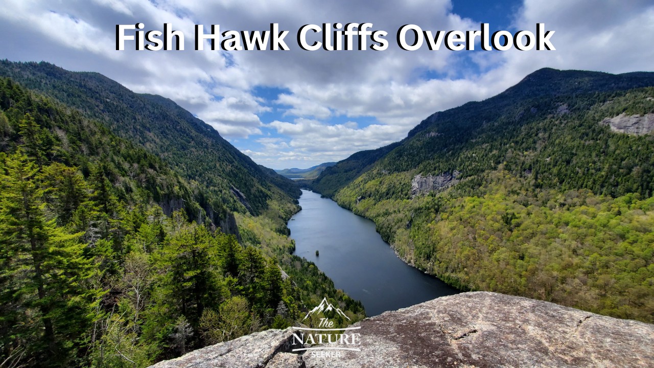 indian head adirondacks fish hawk cliffs overlook 06