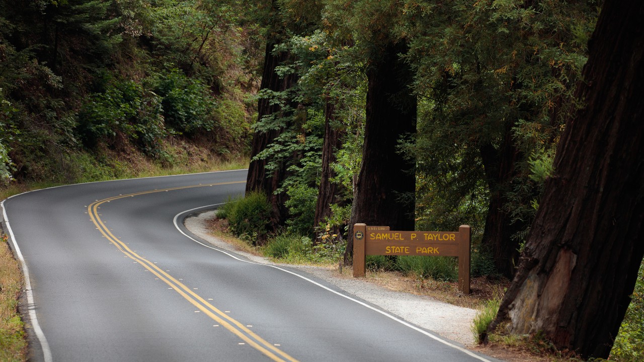 samuel p taylor state park redwoods california 07