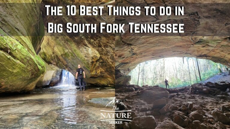 10 Best Things to do in Big South Fork Tennessee