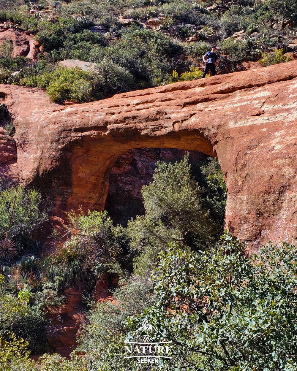 vultee arch trail best hikes in sedona photo
