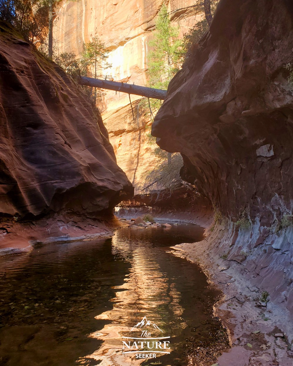 west fork trail best hikes in sedona photo