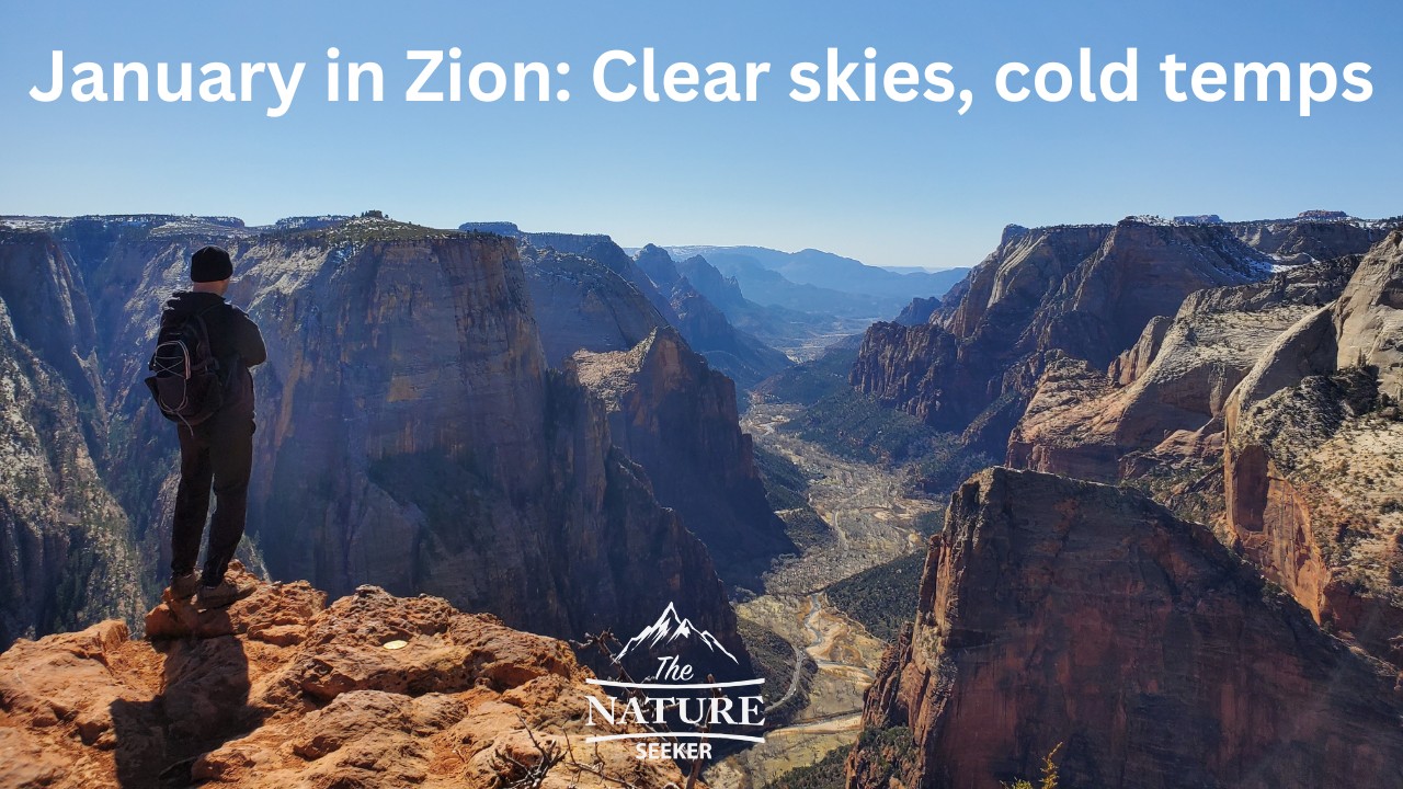 zion national park weather in january