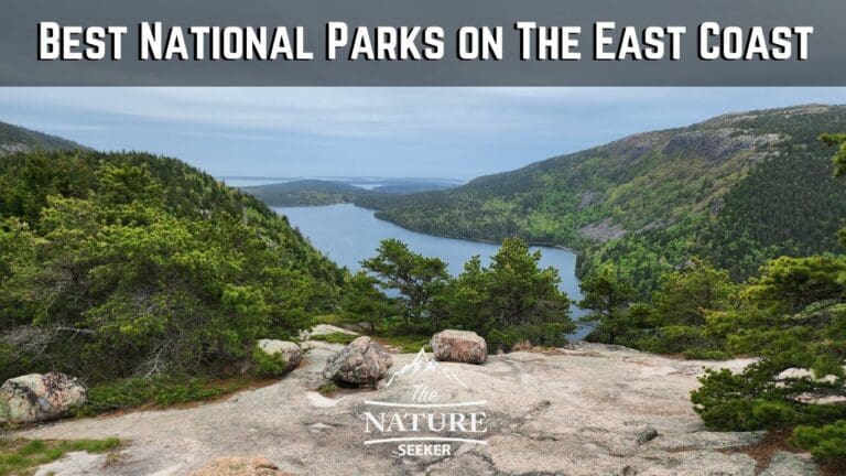 15 Best National Parks on The East Coast to Visit