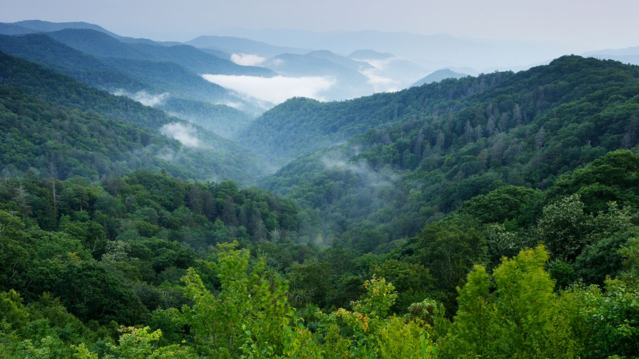 best national parks on the east coast smoky mountains