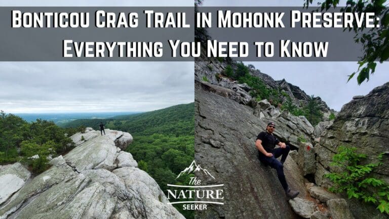 How to Hike The Bonticou Crag Trail (5 Things to Know)