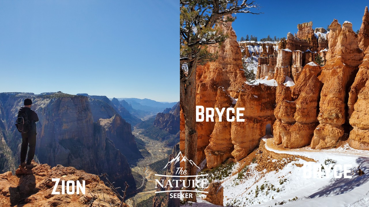 bryce canyon vs zion national park new 05