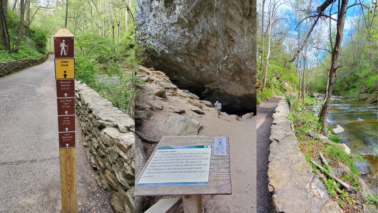 natural bridge state park cedar creek trail 03