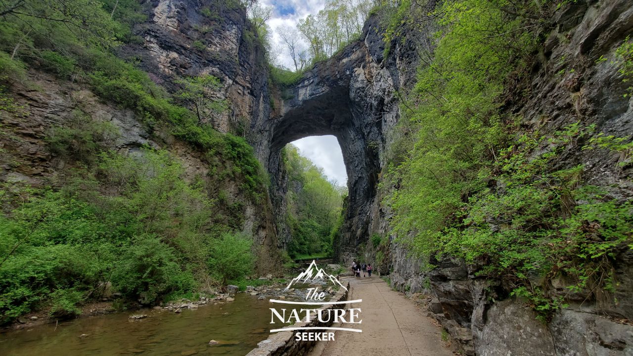 natural bridge state park va 08