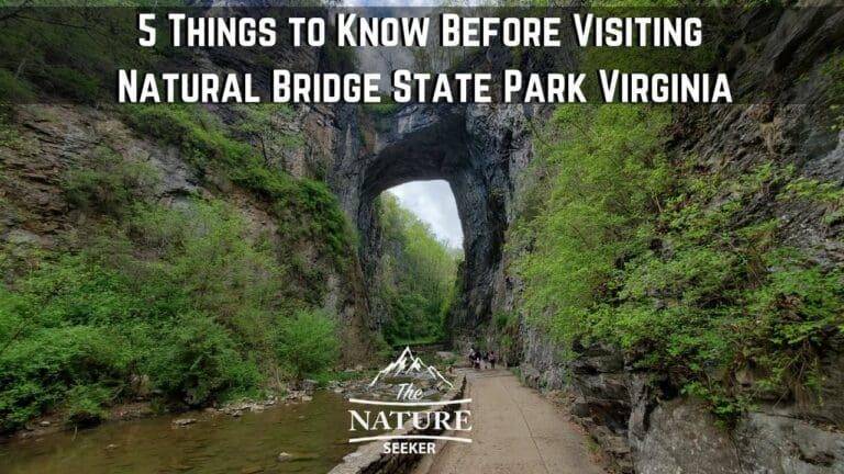 5 Things to Know About Natural Bridge State Park in Virginia