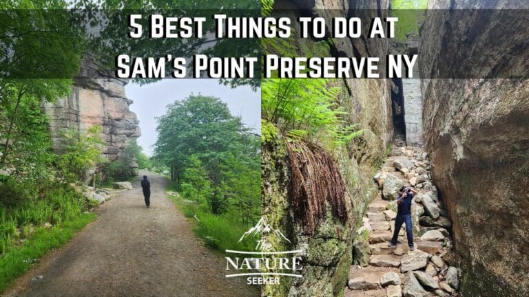 Sam’s Point Preserve NY: 5 Best Things to do