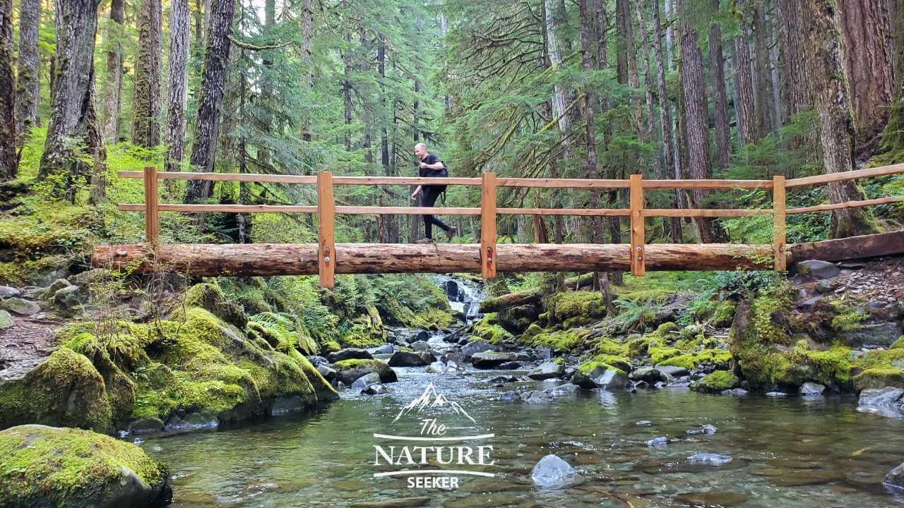 sol duc falls lovers lane trail 09