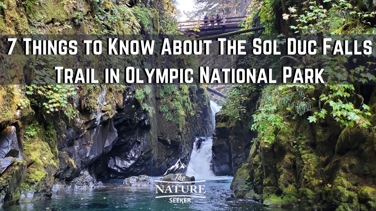 7 Things to Know About The Sol Duc Falls Trail