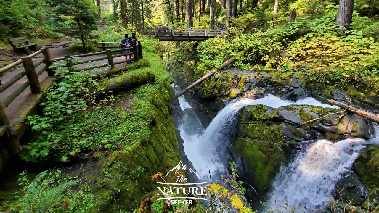 sol duc falls washington 07