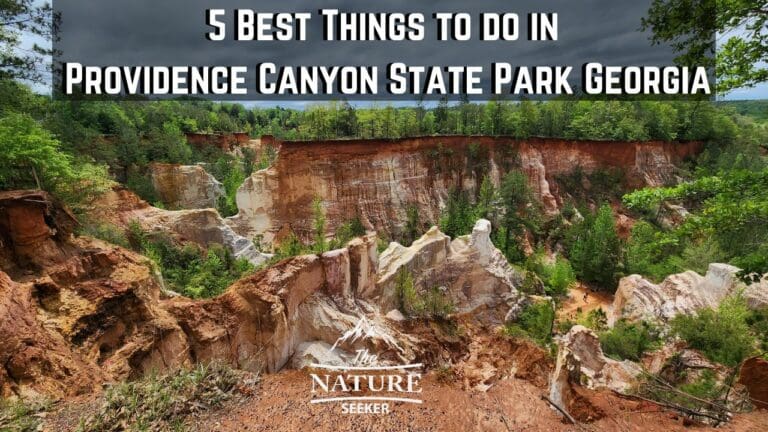 5 Best Things to do in Providence Canyon State Park