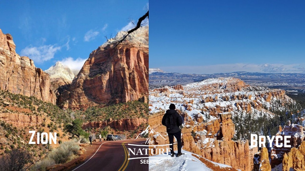 zion national park vs bryce canyon national park new 03
