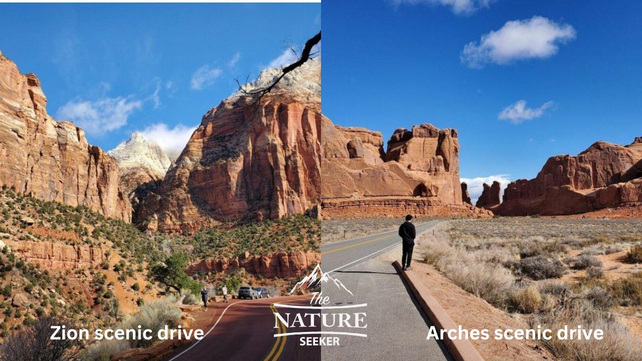 zion vs arches scenic drive 02