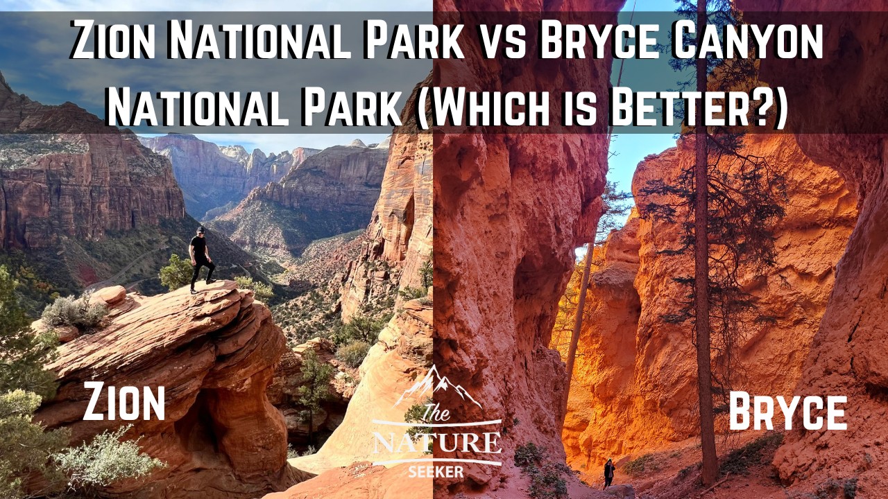 Zion Vs Bryce Canyon: Which National Park is Better to See?