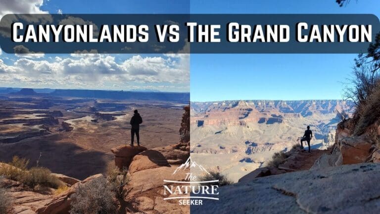 Canyonlands Vs Grand Canyon: Should You Visit One or Both?