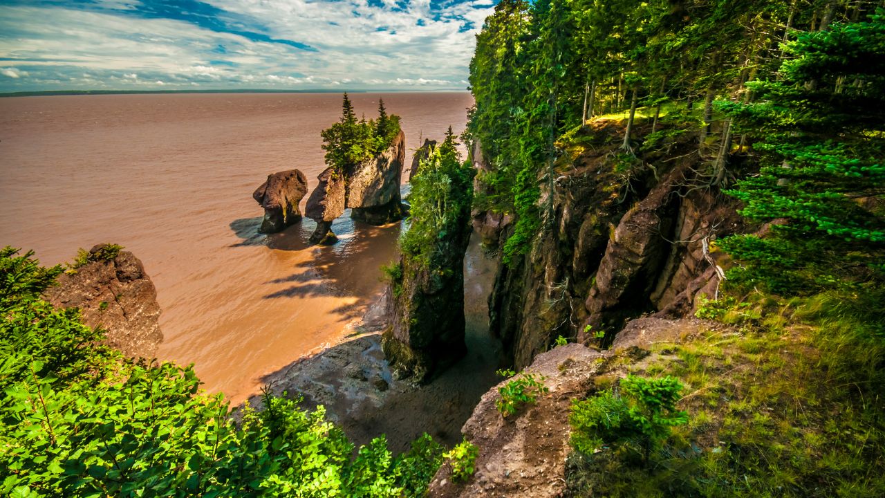 hopewell rocks high tide photo new 02