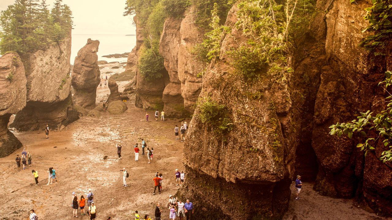 hopewell rocks low tide photo new 03