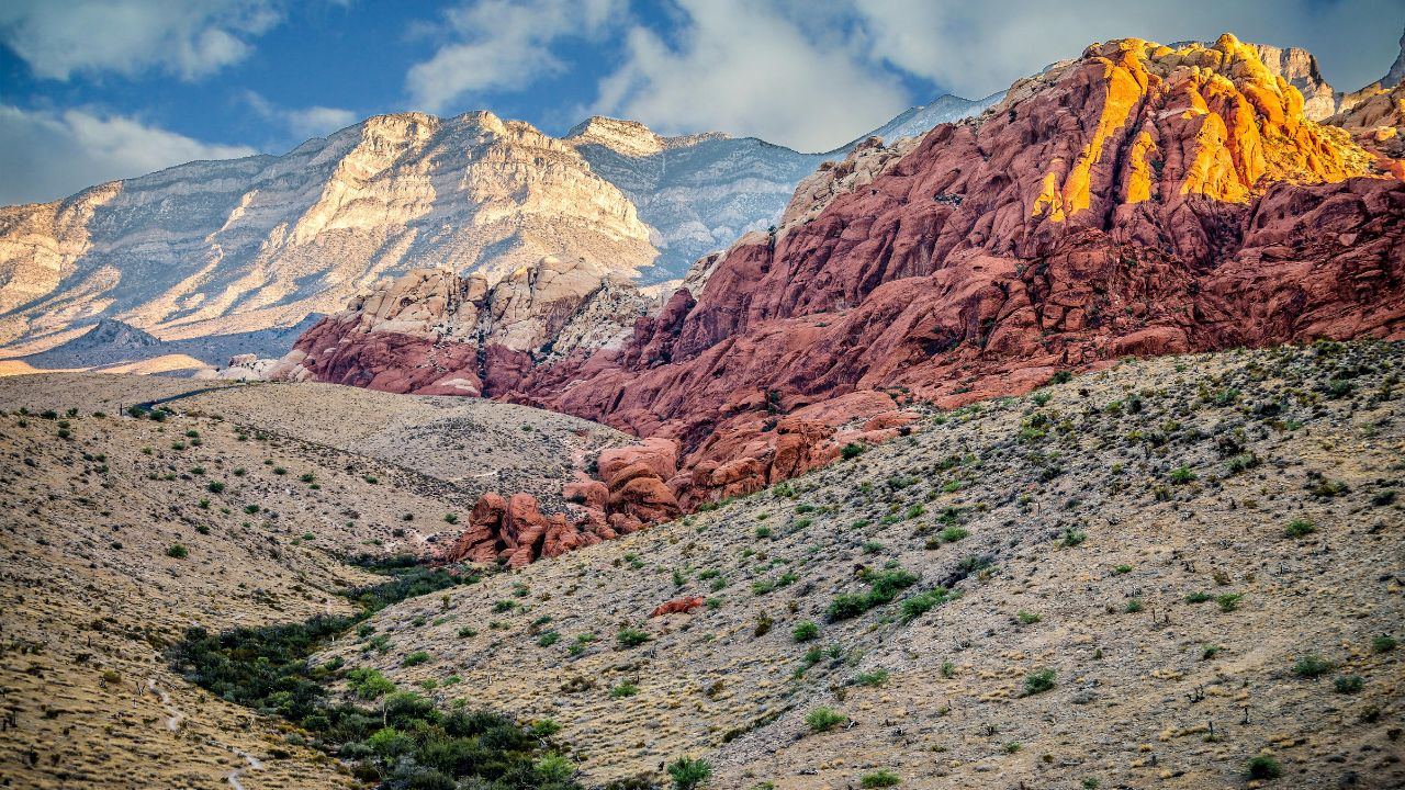 new day trips from las vegas to red rock canyon photo
