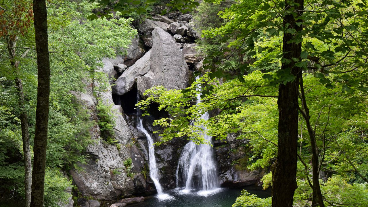 taconic state park best day trips from nyc 05