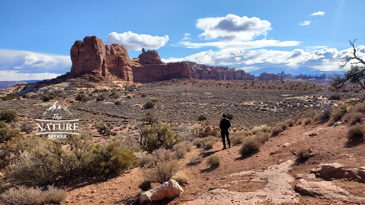 arches national park photos garden of eden area