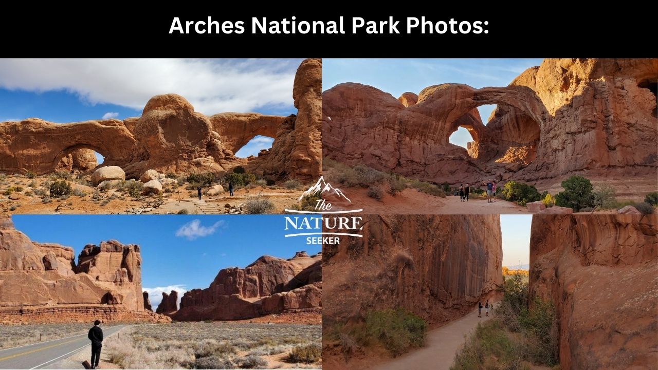 arches national park photos main