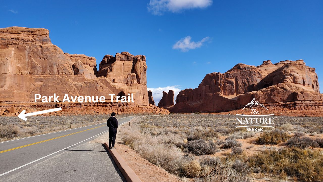 arches national park photos park avenue area