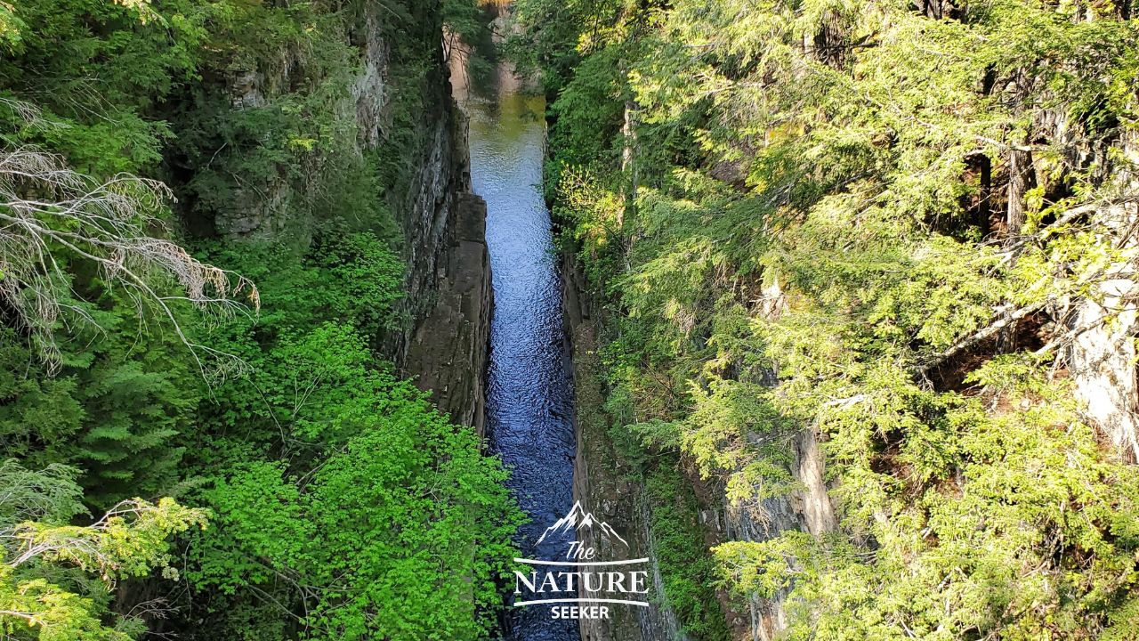 ausable chasm photos bridge over canyon walls