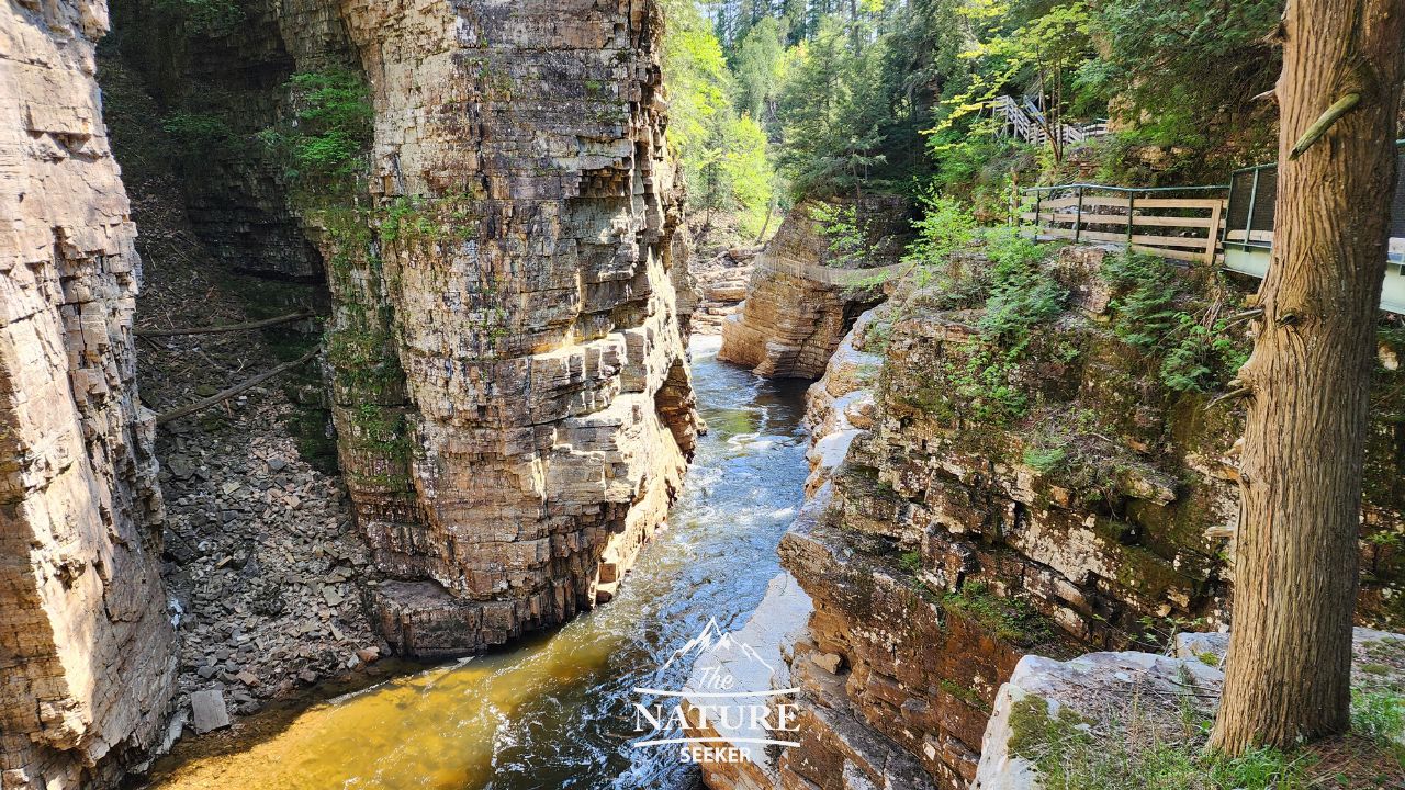 ausable chasm photos of gorge