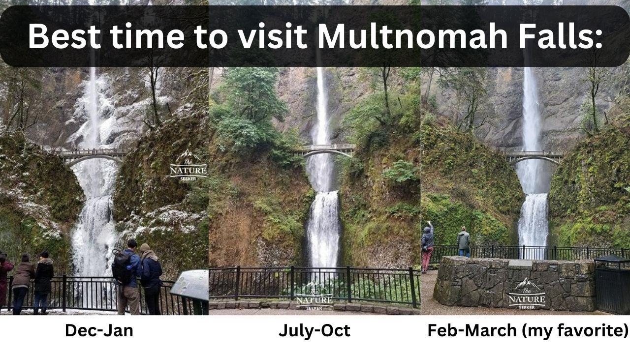 best time to visit multnomah falls new 03