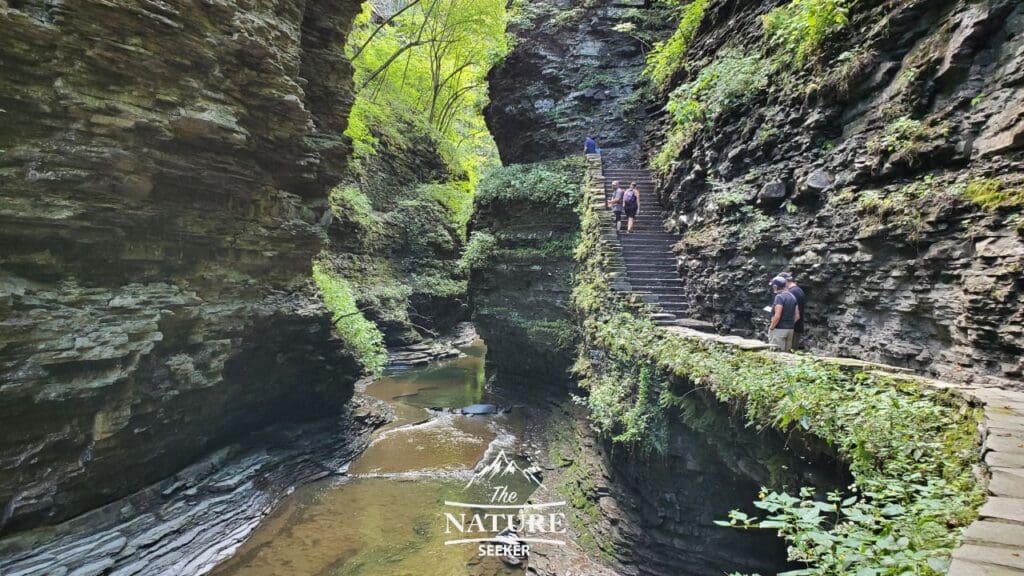 gorge trail highlights watkins glen state park photos 08