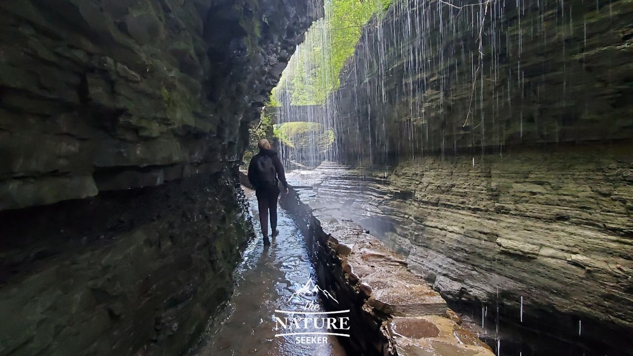 inside rainbow falls watkins glen state park photos new 07